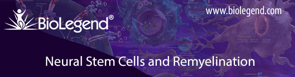 Neural Stem Cells and Remyelination