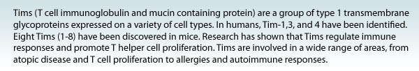 Tims (T cell immunoglobulin and mucin containing protein) are a group of type 1 transmembrane glycoproteins expressed on a variety of cell types. In humans, Tim-1,3, and 4 have been identified. Eight Tims (1-8) have been discovered in mice. Research has shown that Tims regulate immune responses and promote T helper cell proliferation. Tims are involved in a wide range of areas, from atopic disease and T cell proliferation to allergies and autoimmune responses.