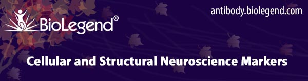 Cellular and Structural Neuroscience Markers
