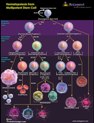 Hematopoiesis from Multipotent Stem Cell Pathway