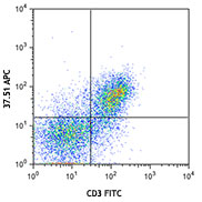 APC anti-mouse CD28 Antibody anti-CD28 - 37.51