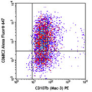 Alexa Fluor 647 anti-mouse CD206 MMR Antibody anti-CD206 - C068C2