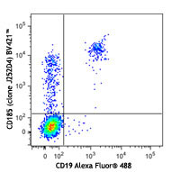 Brilliant Violet 421 anti-human CD185 CXCR5 Antibody anti-CD185 