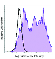 PE anti-human CD142 Antibody anti-CD142 - NY2